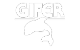 gifer